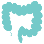 Improved bowel movements